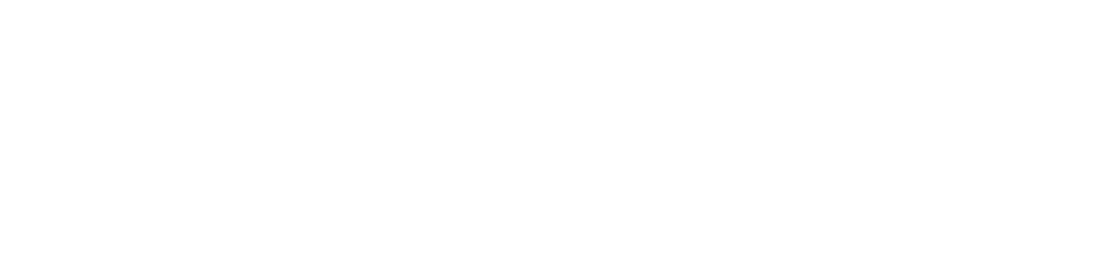 Apus Software
